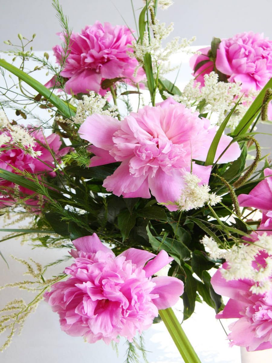 CALVENDO Puzzle Pfingstrosen in der Vase 1000 Teile Lege-Grösse 48 x 64 cm Foto-Puzzle Bild von Gise