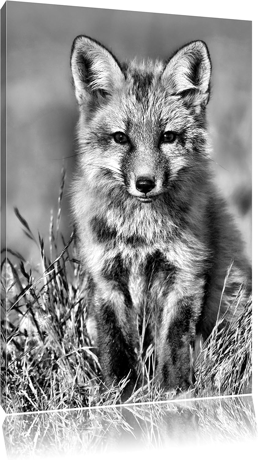 Pixxprint Kleiner Fuchs auf Wiese als Leinwandbild | Grösse: 100x70 cm | Wandbild | Kunstdruck | fer