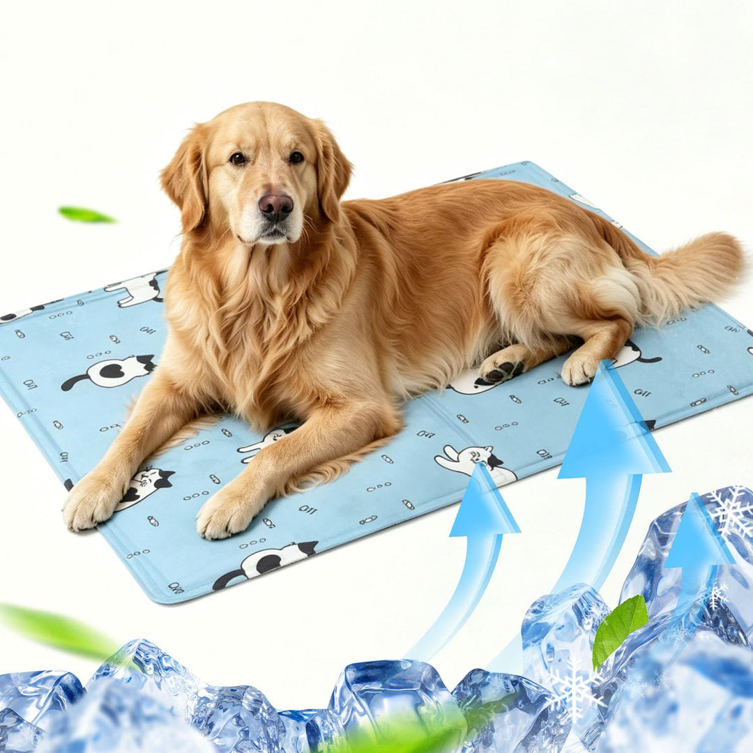Kühlmatte Hund Katze Selbstfüllend 60×90cm,XL Kühldecke Hund Mit Ungiftigem Dünnes Gel,Faltbar leich