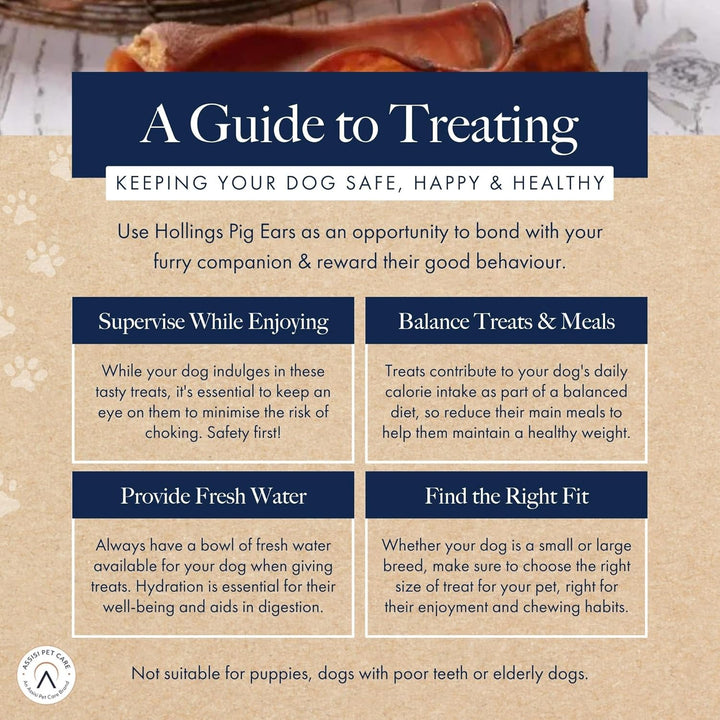Hollings Pig Ear Treats for Dogs Pack of 10 1 10er-Packung