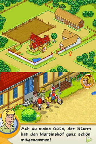 Das grosse Unwetter - [Nintendo DS]