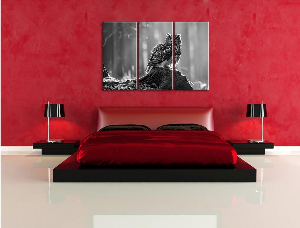 Pixxprint Eule auf dem Baumstamm als Leinwandbild/Grösse: 3 Teilig (120x80 cm) cm/Wandbild/Kunstdruc