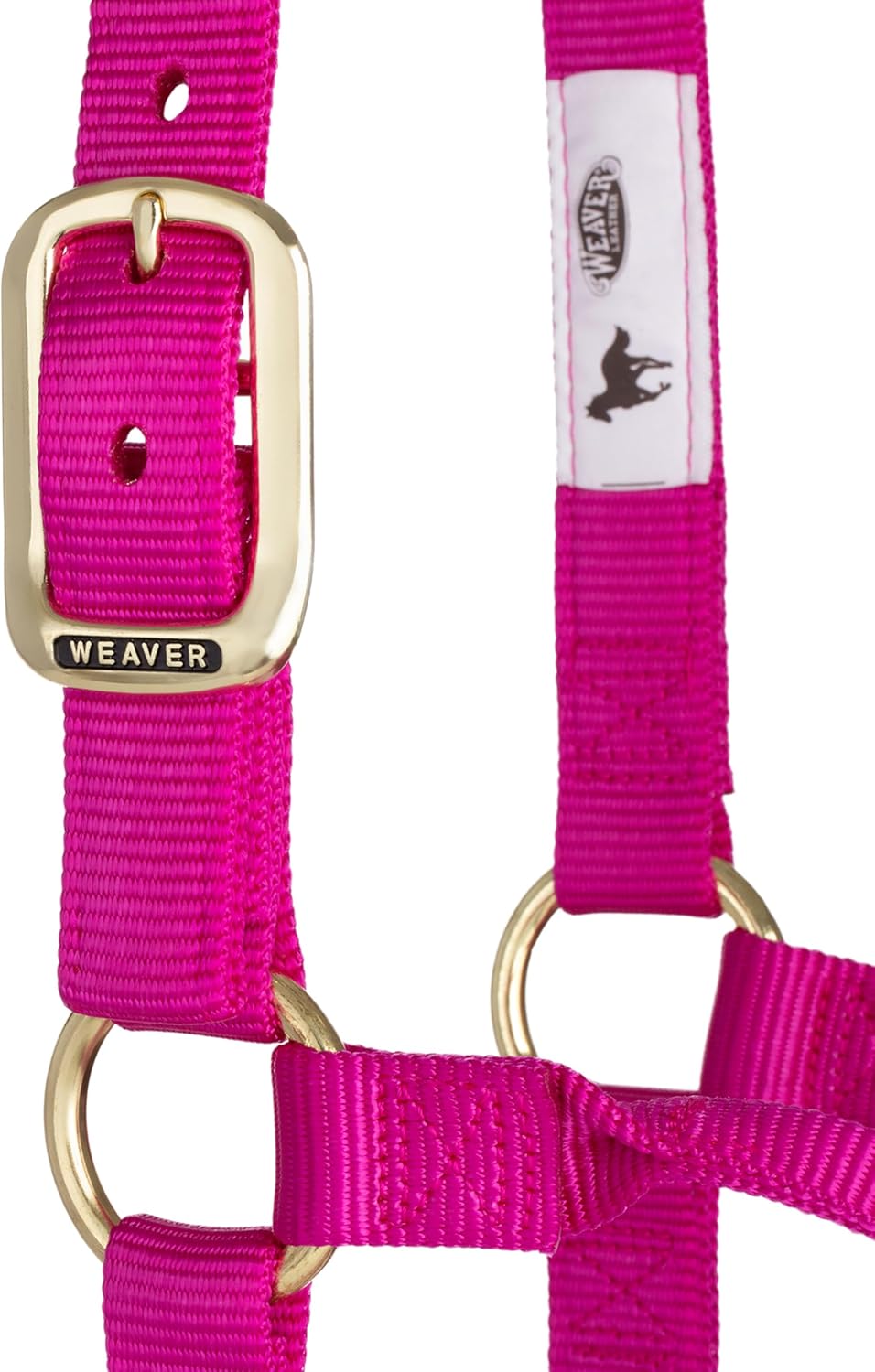 Weaver Leather, nicht verstellbares Halfter Himbeere Average Horse, Himbeere Average Horse