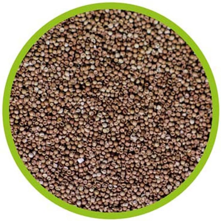 Hobby 21430 Artemia Eier 150 ml & 21700 Dohse Artemia-Aufzuchtschale