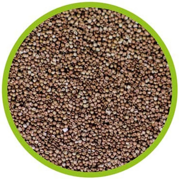 Hobby 21430 Artemia Eier 150 ml & 21700 Dohse Artemia-Aufzuchtschale