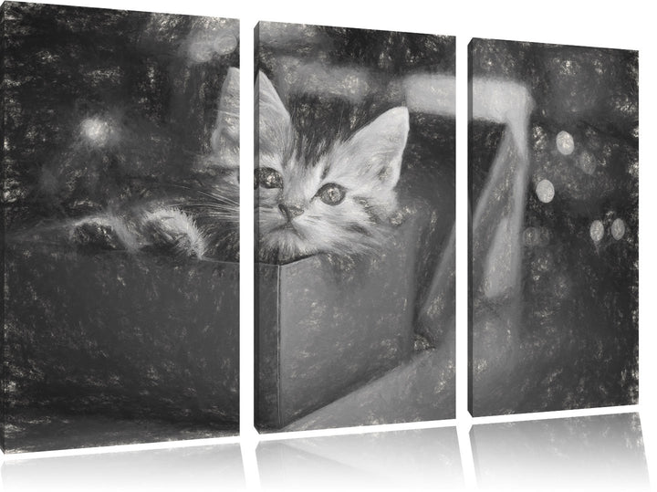 Pixxprint süsses Kätzchen in der Box Kunst Kohle Effekt 3-Teiler Leinwandbild 120x80 Bild auf Leinwa