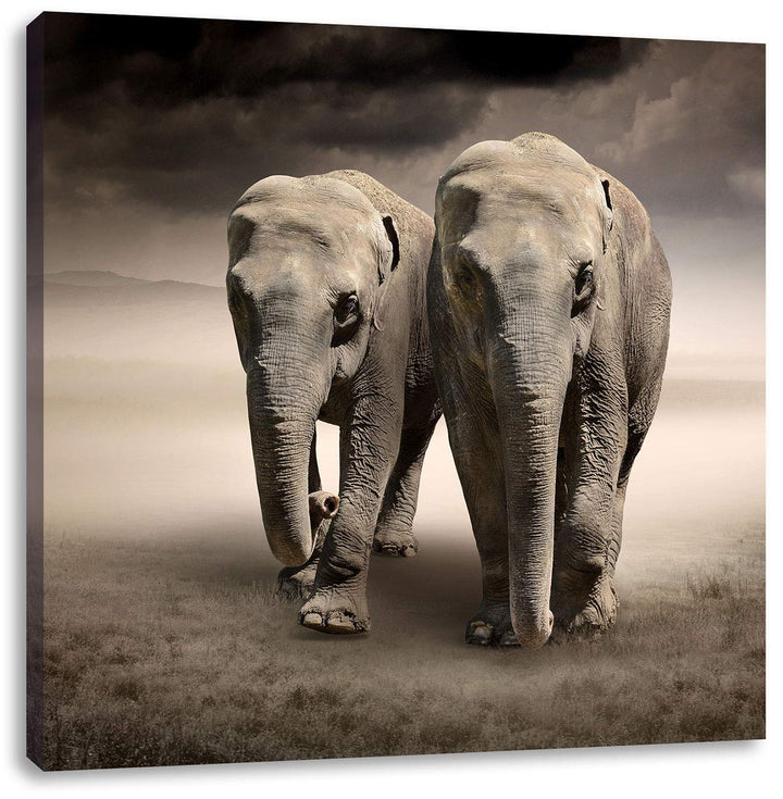 Pixxprint Zwei stolze Elefanten in Steppe als Leinwandbild/Grösse: 70x70 / Wandbild/Kunstdruck/ferti