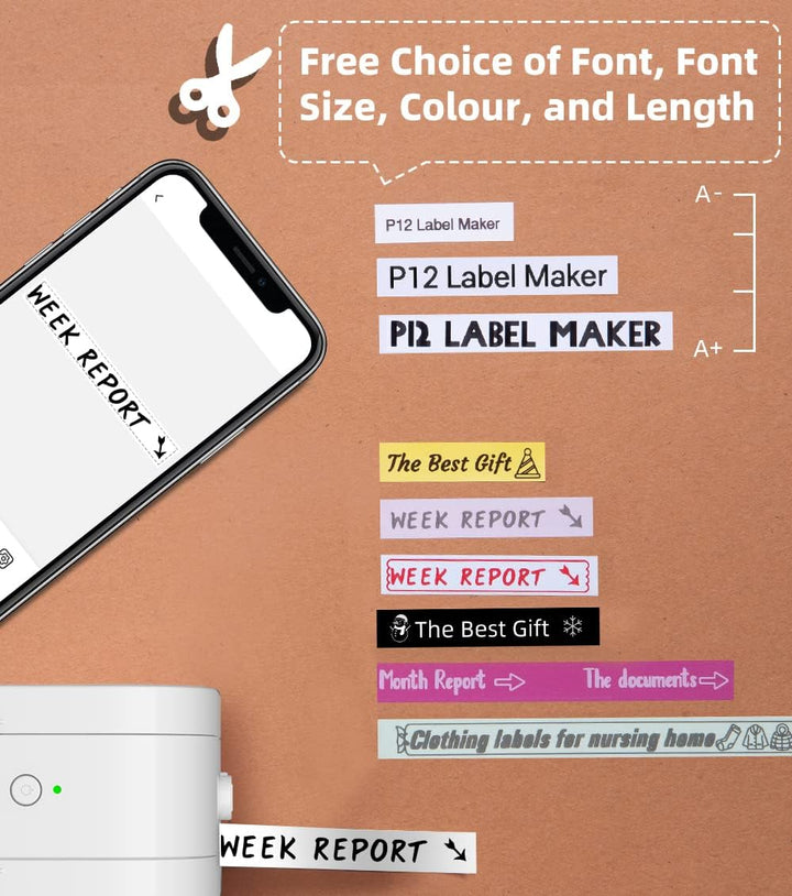 Phomemo P12-Pro Mini Bluetooth Etikettiergerät, USB aufladbares Thermo-Beschriftungsgerät Selbstkleb