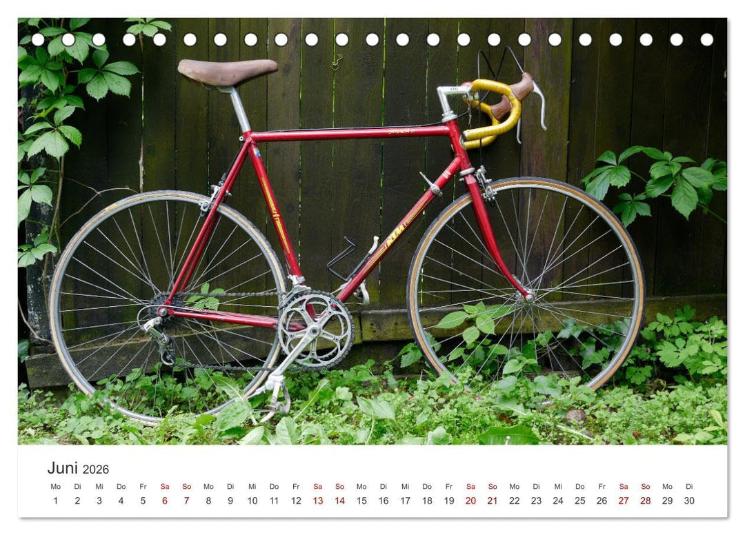 Stahlrenner - Rennrad-Klassiker aus Europa (Tischkalender 2026 DIN A5 quer), CALVENDO Monatskalender