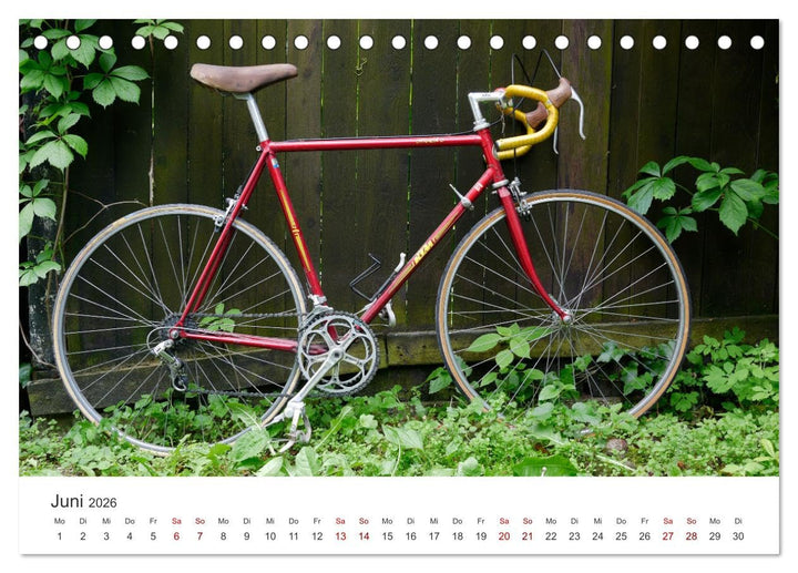 Stahlrenner - Rennrad-Klassiker aus Europa (Tischkalender 2026 DIN A5 quer), CALVENDO Monatskalender