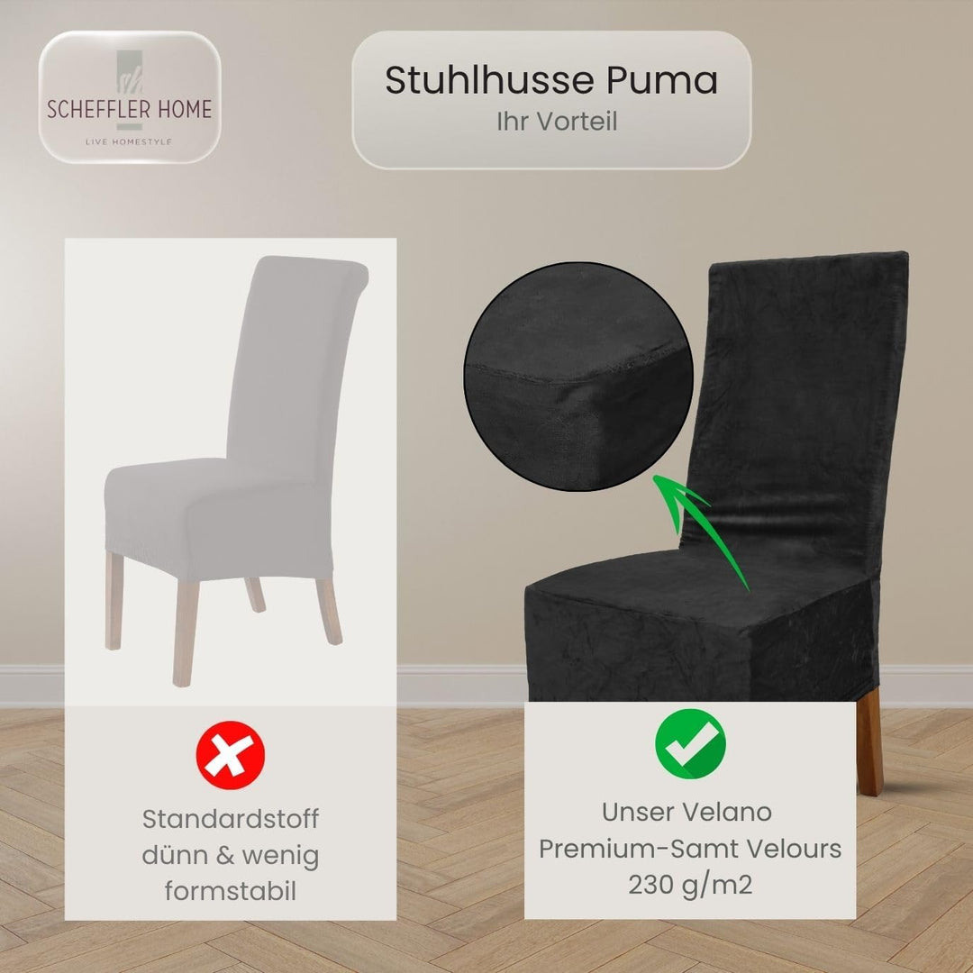 SCHEFFLER-Home Stretch Stuhlhussen Samt Puma Velvet/Velours Stuhlhussen Schwarz 4er Set/Stuhlabdecku