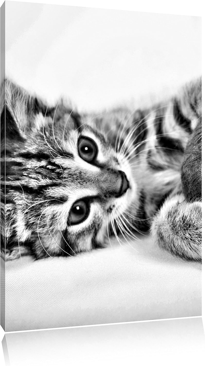 Pixxprint Monocrome, Kätzchen mit Wollknäul, Format: 100x70 auf Leinwand, 100x70