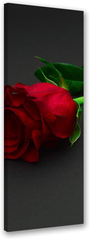 Feeby Bild auf Leinwand Rose Kunstdruck modern Blume Rot 30x90 cm Leinwandbild 30x90 cm Rot_b, Leinw