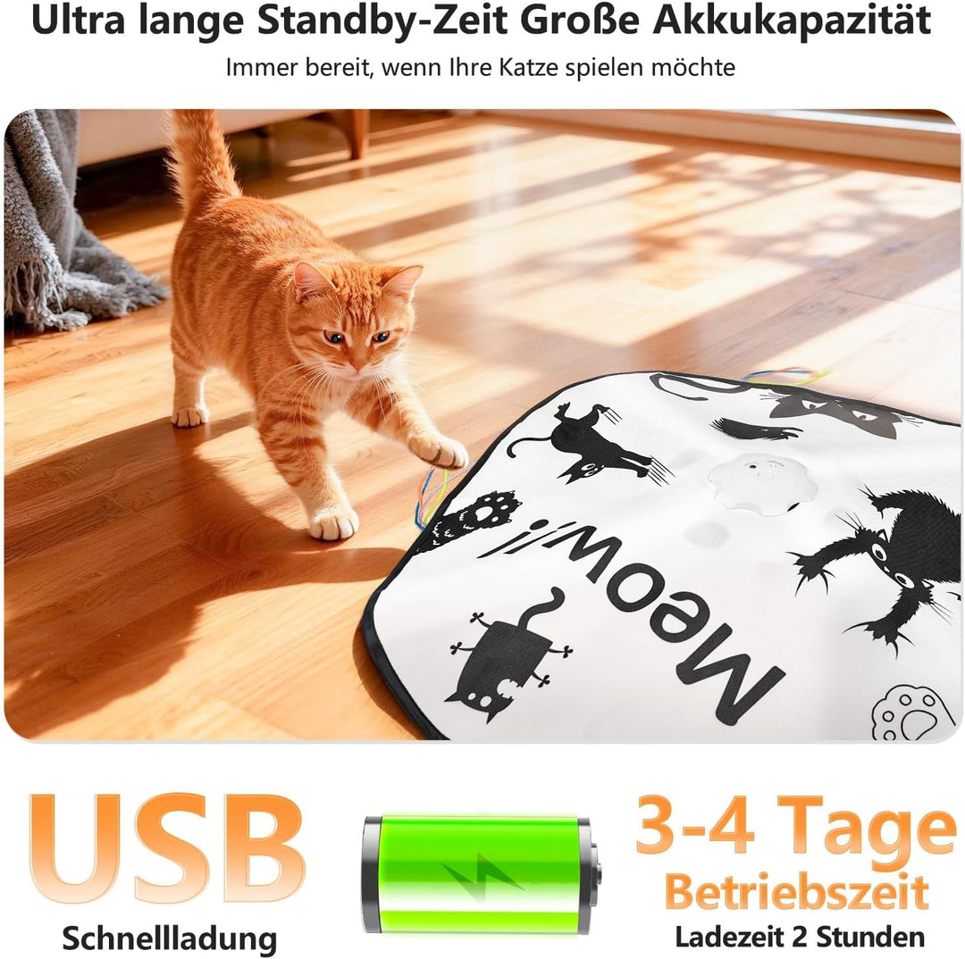 GoldenSun Katzenspielzeug, Wiederaufladbar, Interaktives 4-in-1 Kitten Spielzeug für Indoor, Verstec