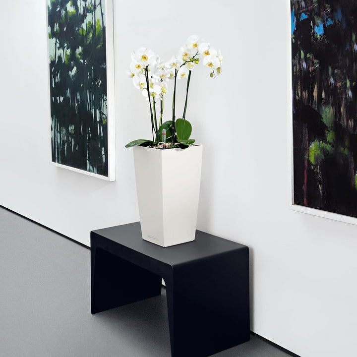 LECHUZA CUBICO Color 22 weiss 13160 Weiss 22x22x41 cm, Weiss 22x22x41 cm