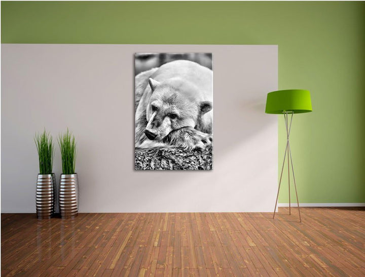 Pixxprint schlafender Eisbär / 100x70cm Leinwandbild bespannt auf Holzrahmen/Wandbild Kunstdruck Dek