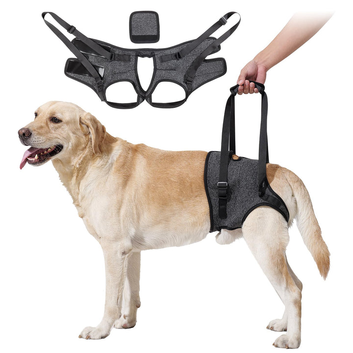 HEYWEAN Tragehilfe mit Handgriff für Hinterbeine - Tragegeschirr für Kleine Mittlere Grosse Hunde -