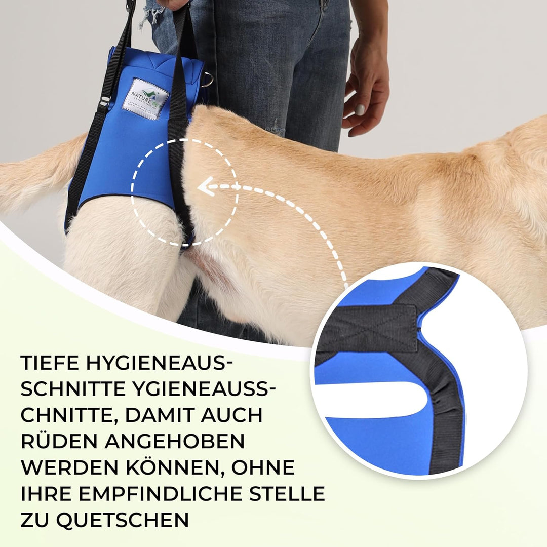 Hunde Tragehilfe XL Blau/ Hunde Gehhilfe / Hunde Rehahilfe, das Hilfsgeschirr für Probleme an der Wi