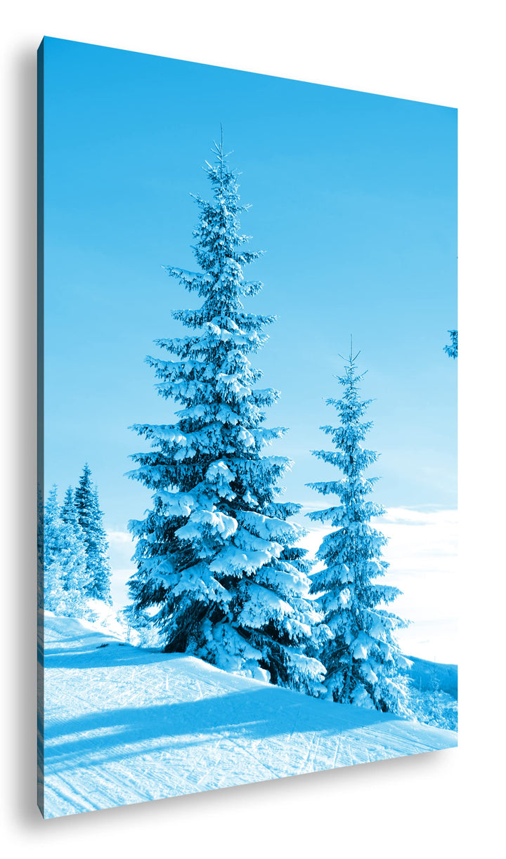 deyoli Schnee bedeckte Tannen Format 80x60 Effekt: Monocrome Blau als Leinwandbild, Motiv fertig ger