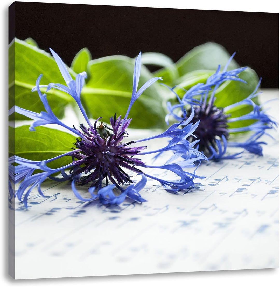 Pixxprint Notenblatt mit Kornblume als Leinwandbild Quadratisch/Grösse: 70x70 / Wandbild/Kunstdruck/