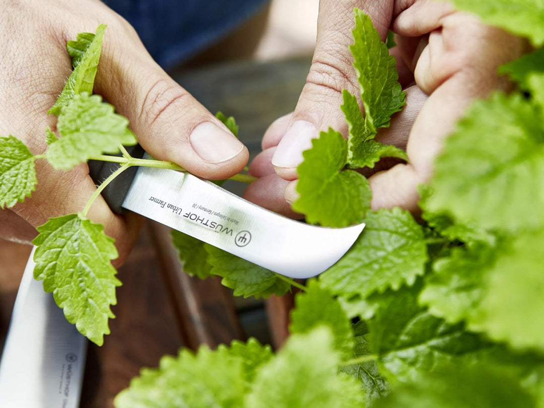 WÜSTHOF Urban Farmer Erntemesser 8 cm 8 cm Erntemesser Single, 8 cm Erntemesser Single
