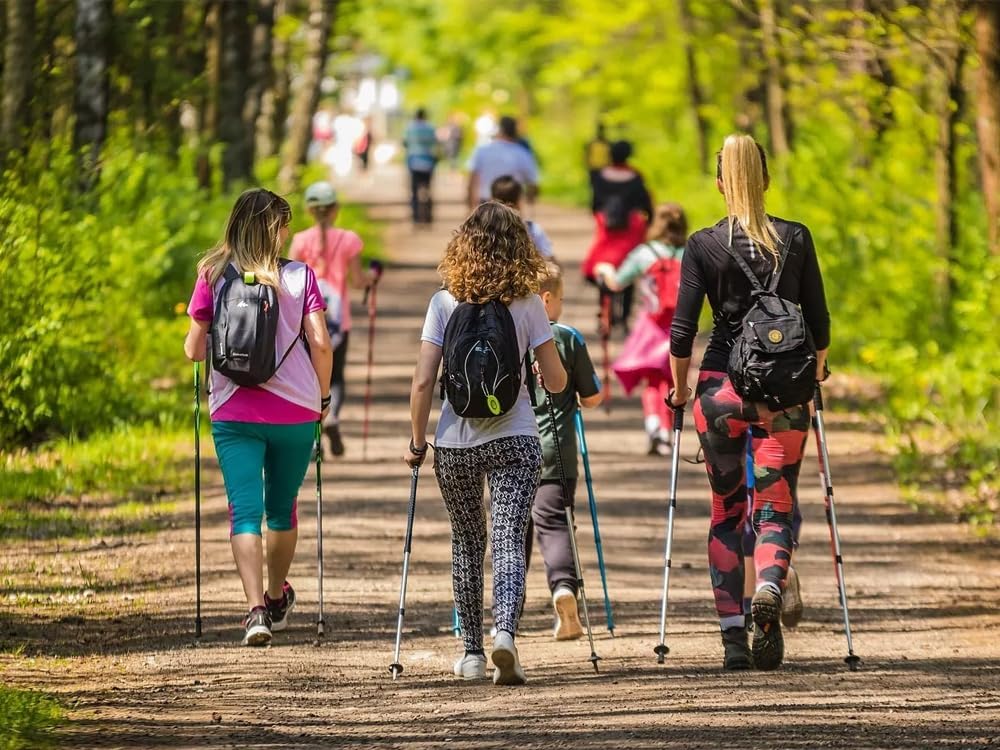Trekkingstöcke mit Anti-Schock-System, Nordic Walking und Wandern, leichtes und robustes Aluminium,