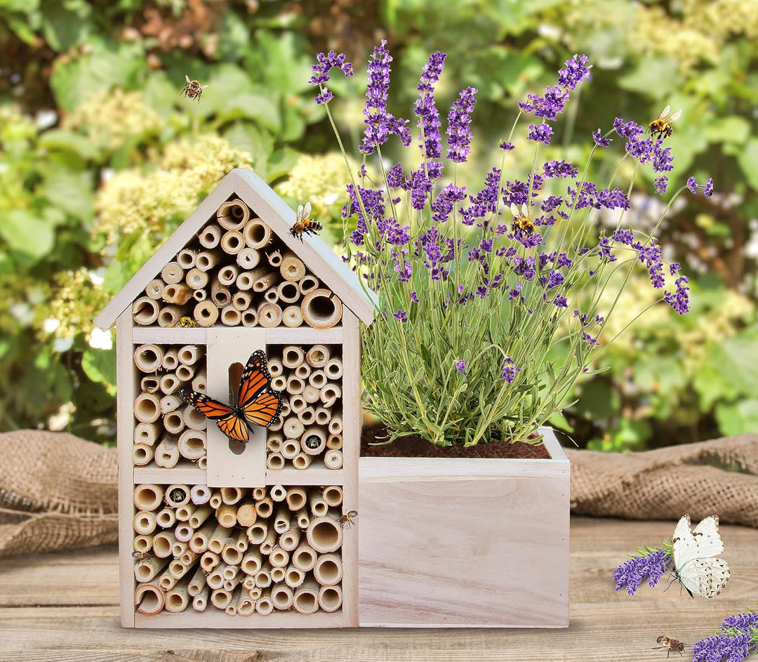 FLORTUS Insektenhotel Lavendel für Bienen &amp; Schmetterlinge | Naturbelasses Insektenhotel gross für G