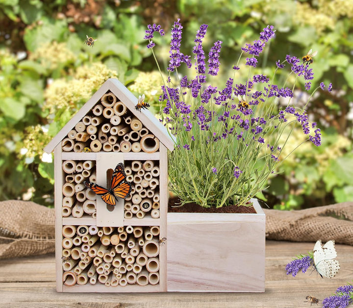 FLORTUS Insektenhotel Lavendel für Bienen &amp; Schmetterlinge | Naturbelasses Insektenhotel gross für G