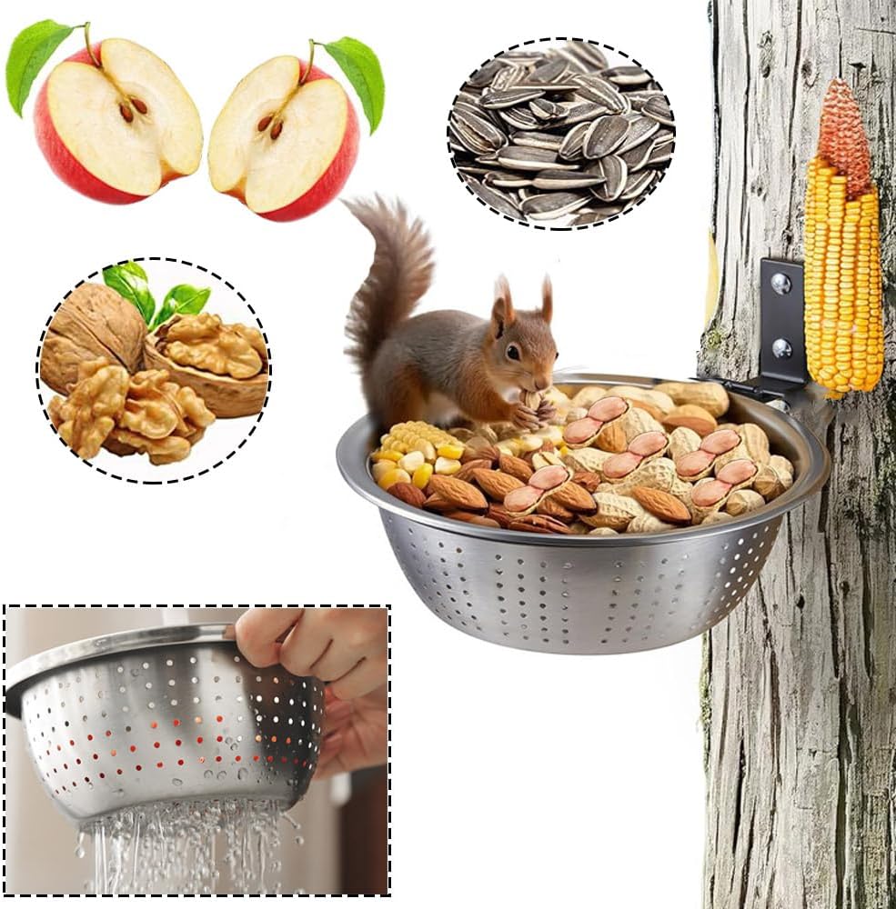 Esforzarse 2 Stück 22cm Edelstahl Eichhörnchen Futterhaus mit 8-Zoll-Entnehmbare Metallfutter-Schale