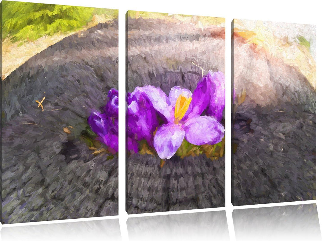 Pixxprint Die Kraft der Natur Kunst / 3-Teilig/Gesamtmass 120cm Leinwandbild bespannt auf Holzrahmen