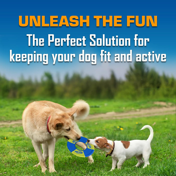 Nerf Dog Toss and Tug Ring Hundespielzeug, Fliegende Scheibe, leicht, langlebig und wasserabweisend,