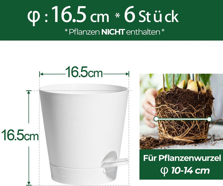 T4U 16,5cm Kunststoff Blumentopf mit Bewässerungssystem, 6er-Set Selbstbewässerung Übertopf mit Unte
