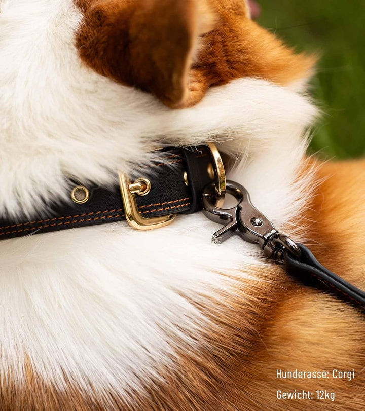 Culacos Leder Hundeleine - Handgemachte 1,3m mit 2-Griff-Design für kleine und mittelgrosse Hunde, B