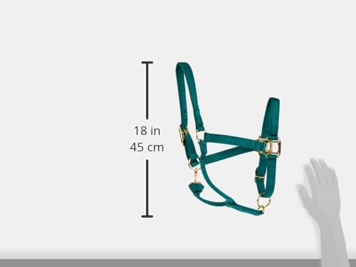 Weaver Leather Original verstellbares Nylonhalfter für Pferde Average Horse Jäger-Grün, Average Hors