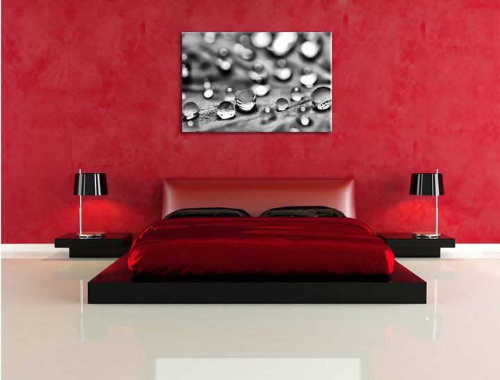 Pixxprint Monocrome, Wassertropfen auf Blatt, Format: 100x70 auf Leinwand, riesige Bilder fertig ger