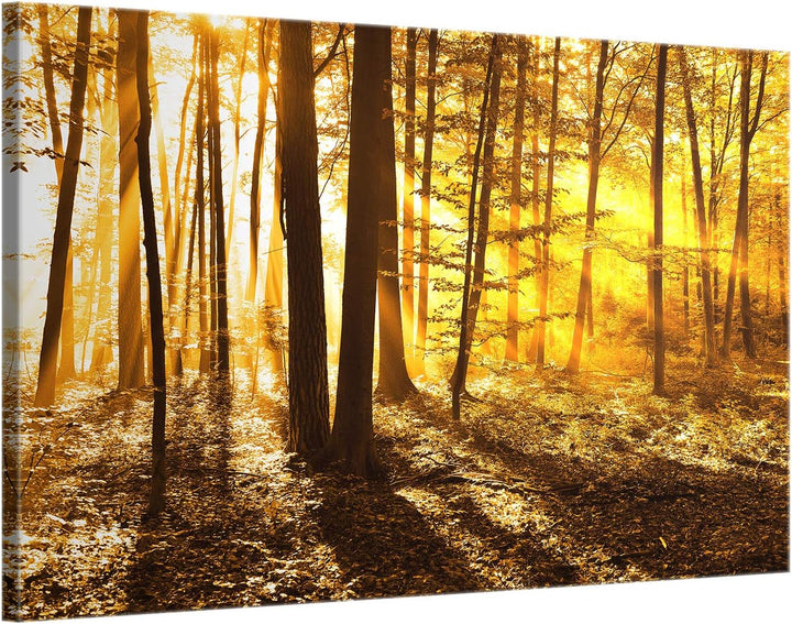 ge Bildet Bild auf Leinwand | Landschaftsbilder - beautiful morning in the forest G in 100x70 cm als