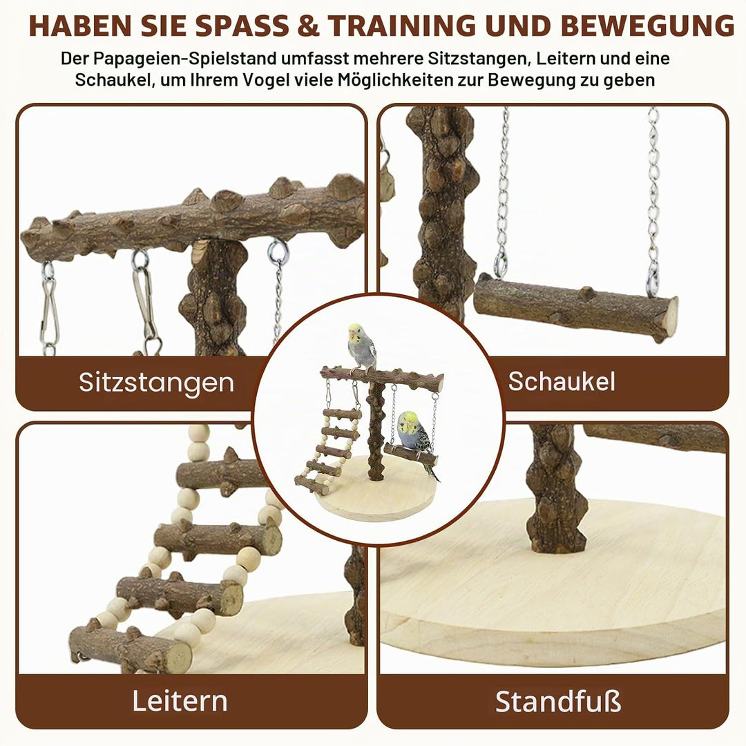 Wellensittich Spielplatz, Vogel Spielplatz Holz mit Spielzeug Leiter Erklimmen Schaukel, Vogel Sitzs