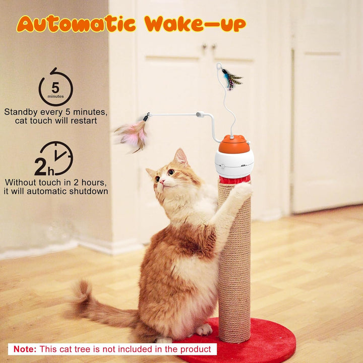 IOKHEIRA 4 in 1 interaktives Katzenspielzeug für Indoor Katzen Erwachsene, automatische Katzenspielz