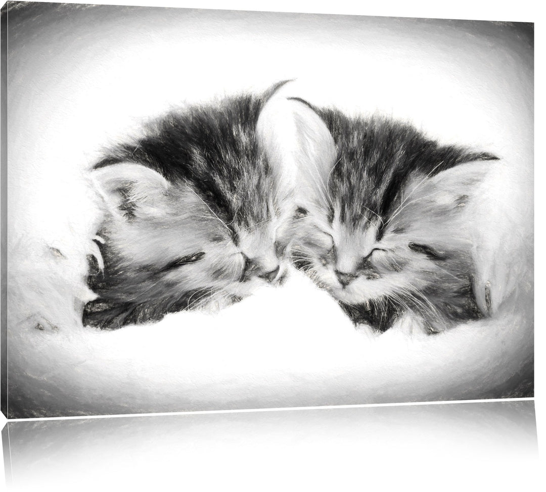 Katzenbabys Kohle Effekt, Format: 100x70 auf Leinwand, XXL riesige Bilder fertig gerahmt mit Keilrah