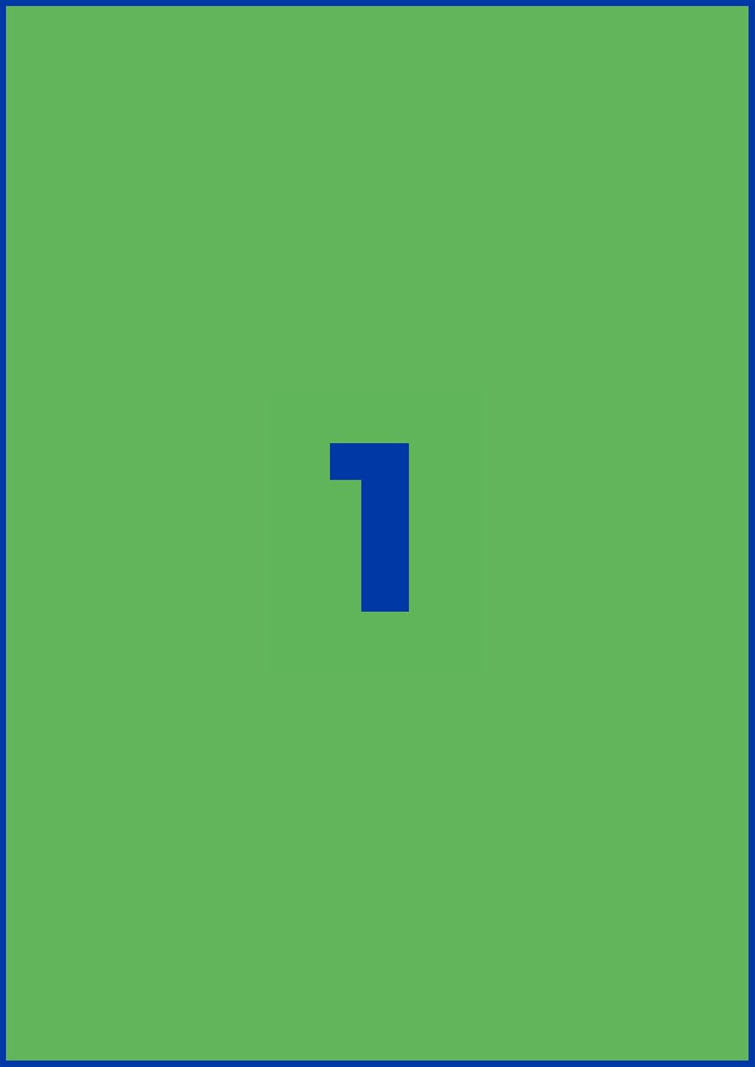 AVERY Zweckform 3472 Grüne Etiketten (100 Aufkleber, 210x297mm auf A4, permanent haftend, selbstkleb