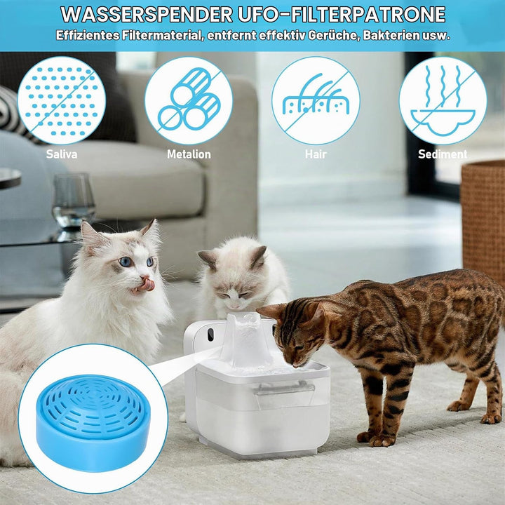 Filter Katzenbrunnen, 6 Stück Katzenbrunnen Filter, Trinkbrunnenfilter mit 2 Liter Edelstahl Runde H