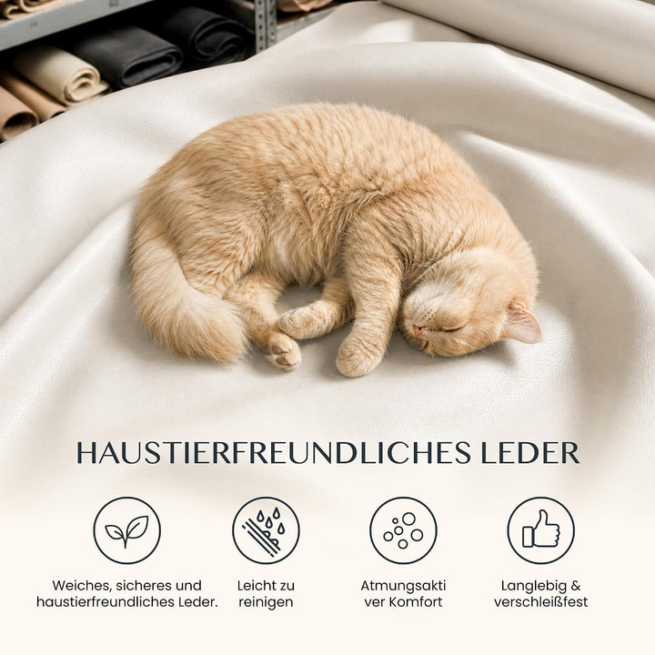 FLEXISPOT Luno Chefsessel Ergonomischer Bürostuhl mit Fussstütze | 180° Armlehnen-Klappfunktion, Kat