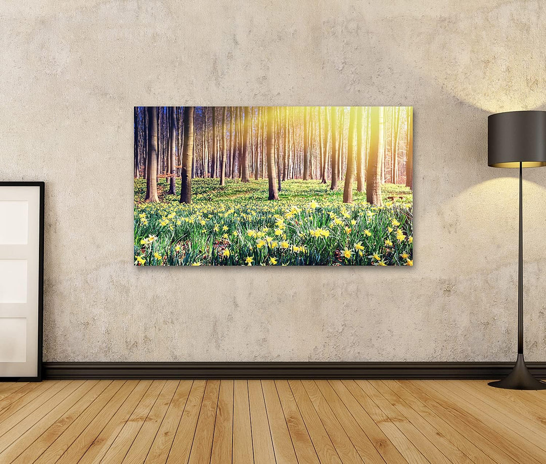 islandburner Bild auf Leinwand Frühling Wald Bedeckt Gelbe Narzissen Landschaft Bilder Wandbilder Po