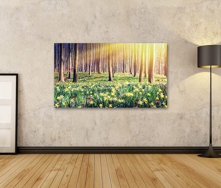 islandburner Bild auf Leinwand Frühling Wald Bedeckt Gelbe Narzissen Landschaft Bilder Wandbilder Po
