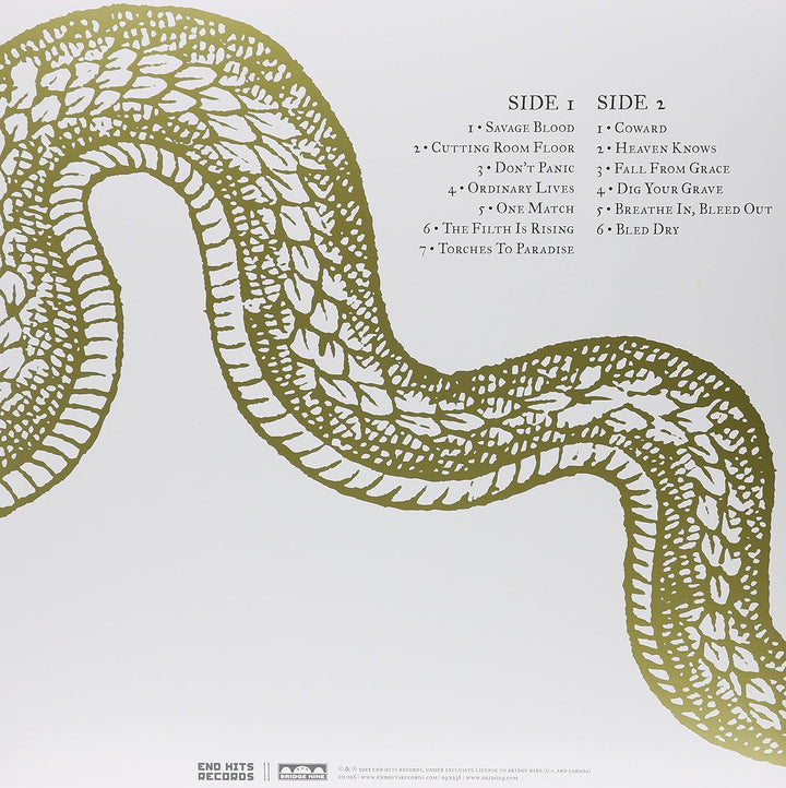 BoySetsFire, Vinyl