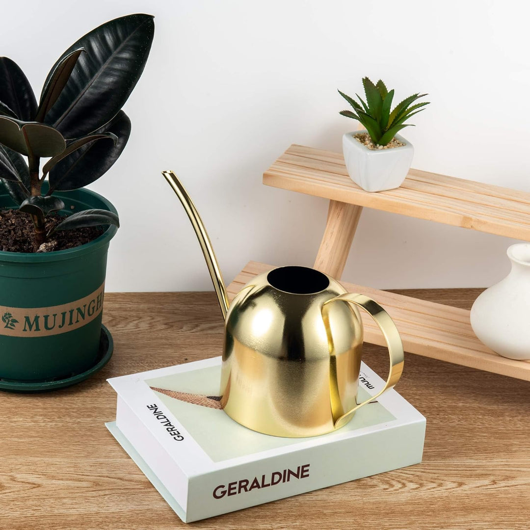 IMEEA 900ML Edelstahl Giesskanne, Zimmergiesskannen Moderner Blumengiesskanne mit Langer Auslauf für