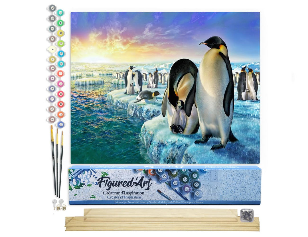 Figured'Art Malen Nach Zahlen Erwachsene Mit Rahmen Pinguine auf Eisschollen - Paint by Numbers Bast