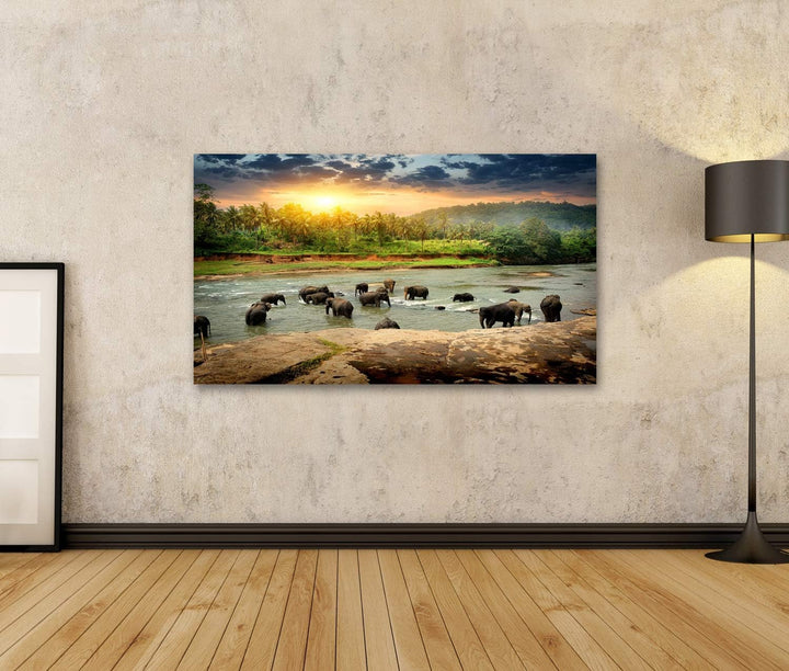 islandburner Bild auf Leinwand Badende Elefanten Herde Im Fluss Im Dschungel Sri Lanka Bilder Wandbi