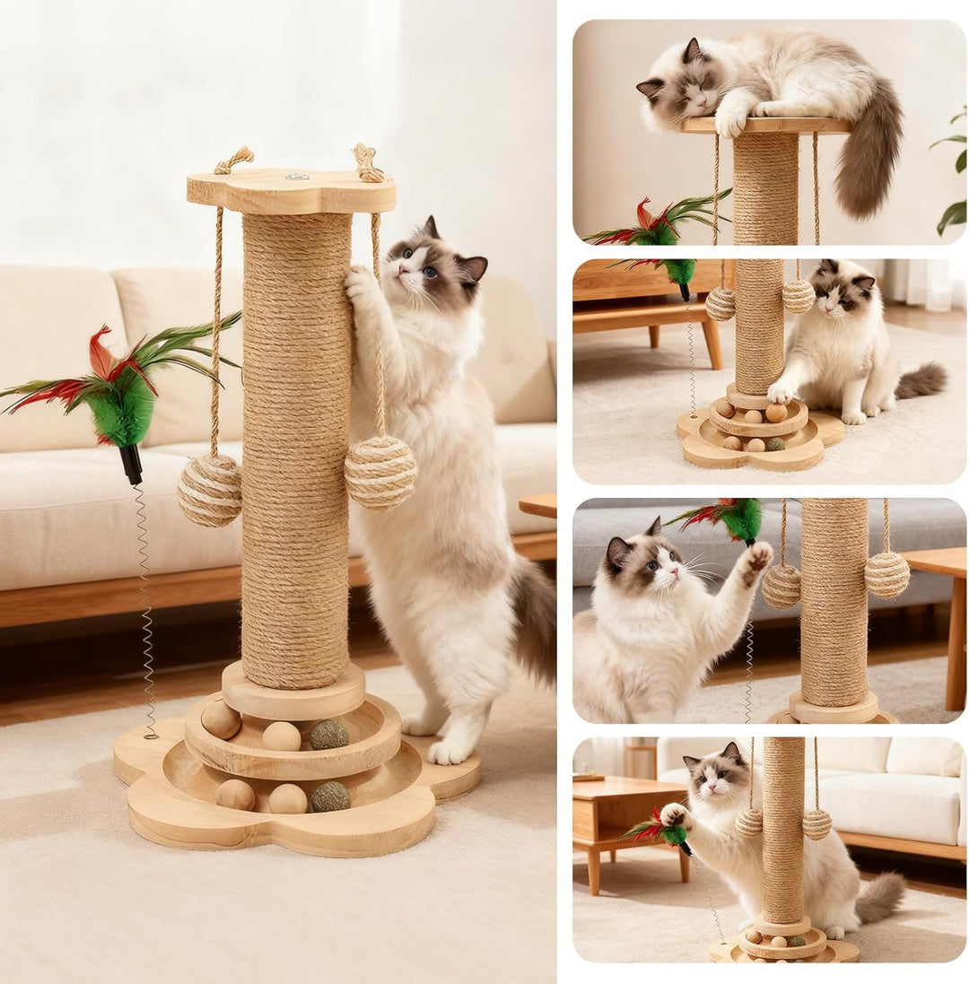 Kratzbaum Klein für Katzen, 25×50cm aus Natur-Sisal &amp; Holz, Interaktives Katzenspielzeug mit Hängend