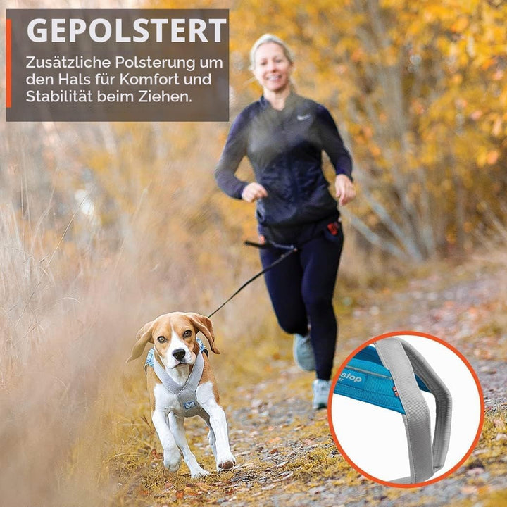 Non-stop dogwear FREEMOTION Harness 5.0 |111| Blue/Grey | Hunde-Geschirr für alle Sportarten, Grösse